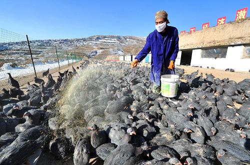 1127գĻ鼦ֳڣԱڸ鼦ϡ