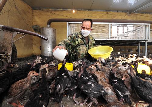 1127գĻ鼦ֳڣԱڸ鼦ιʳϡ