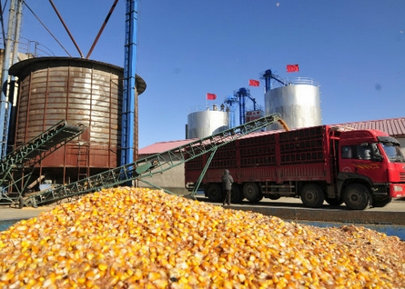 黑龙江穆棱市下城子镇粮食烘干加工企业促农增收