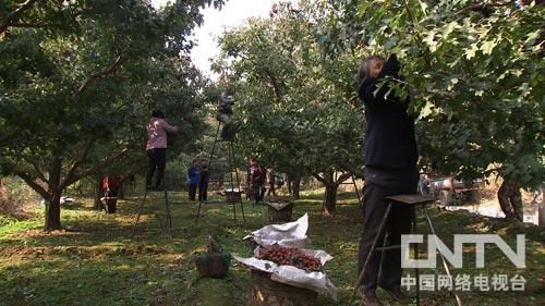 ӱеУɽ髴ĲƸ棨¸ͼ1