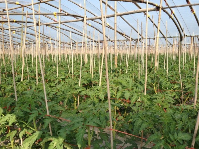 �㽭�����ط��ѳ�������