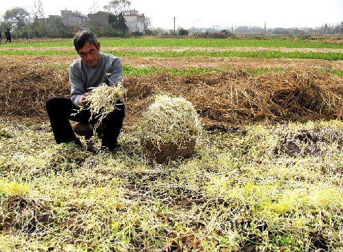 ��ѿ��ֲ���ָ�������Ķ��ѿϲ������