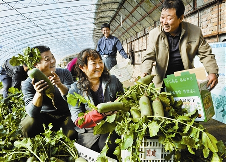 زɳܲ СɳѴ忪չܲժ