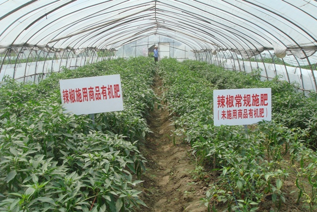 2013㽭Ʒлʾƹ㹤ȡ³Ч