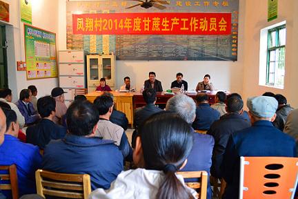 广西大化:凤翔村启动2014年度甘蔗生产工作