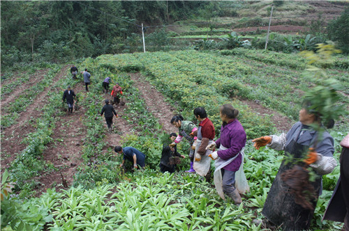 ᶼï٣Ѯ˾Ӫľ ¶Դǿҵ