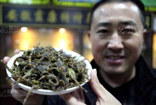 20131127գڰʡ۳Ѧ´ؾίϼֳأ֮չʾջЫӡ