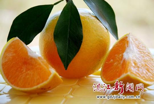 橙农郭大姐种植经营的红橙个大果靓,味道纯正,酸中带甜风味足