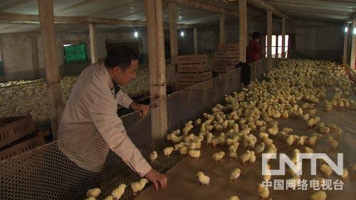 河北孟村回族自治县:常被误解的创富牛人(致富经)(图:4)