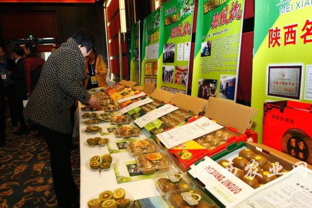 推介展示——宝鸡眉县猕猴桃