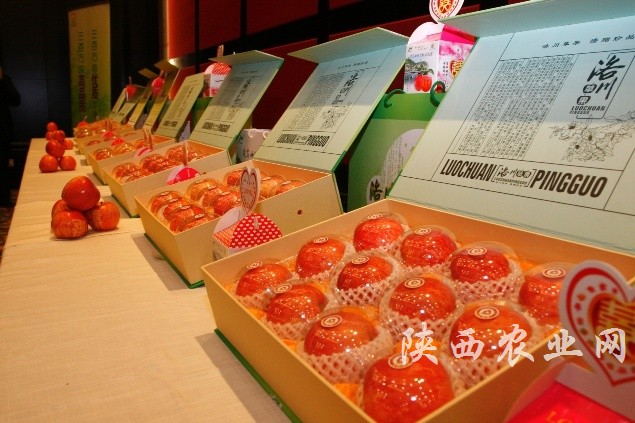 推介展示——延安洛川苹果