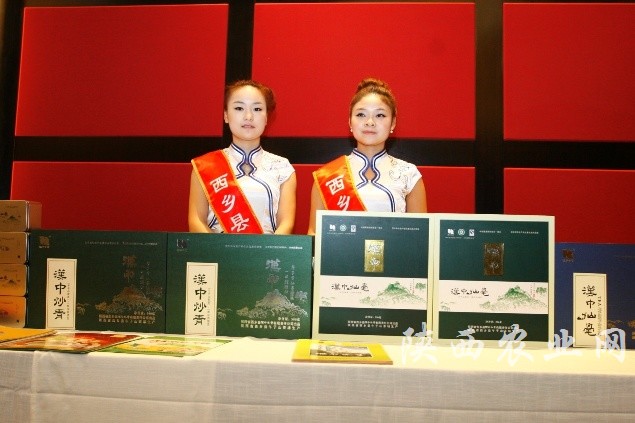 推介展示——汉中茶叶