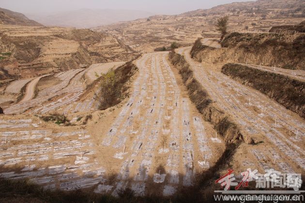 ����ʹ��أ���Ѫ���� �̻��ƶ����