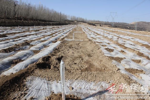 ����ʹ��أ���Ѫ���� �̻��ƶ����2