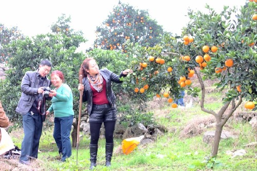 潭嶴򣺵·޽԰ũǮ