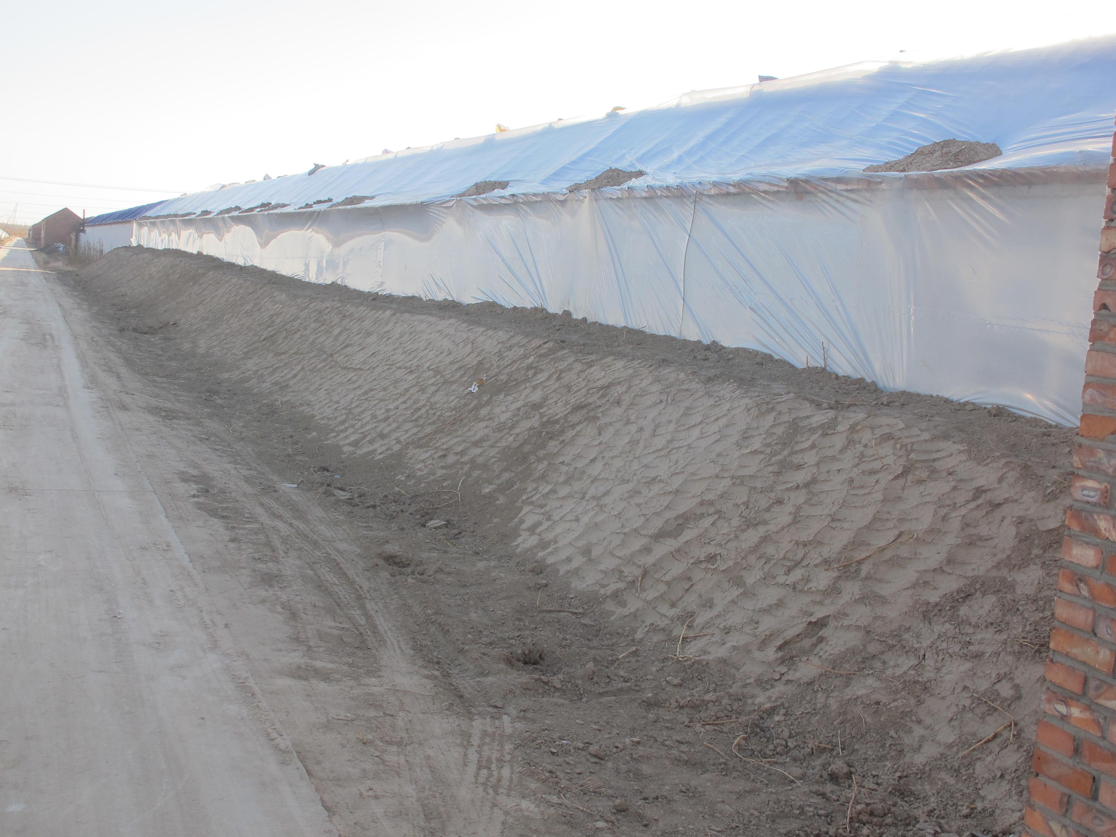 天津滨海新区大港刘岗庄设施种植园区提升工程成效显著