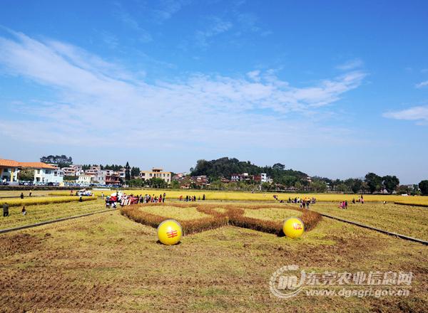 㶫ݸݾٰ촴ˮջջ