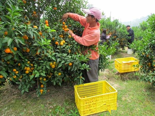 ��������ɳ�ǽ�ϲ�����