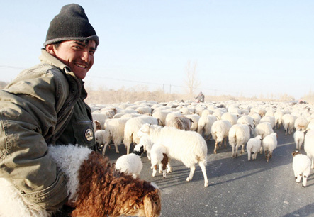 �½���ĩ�ؽ�20��ֻ����½��������ɽ��ݳ�ת��ƽԭ���ݳ�