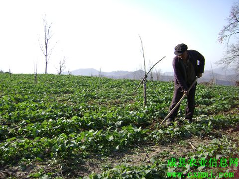 ������أ��Ͳ��и�����ʱ