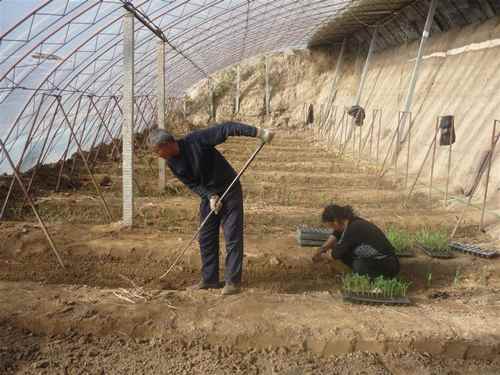 ɹԭִũҵʾ԰ʾֲԽ