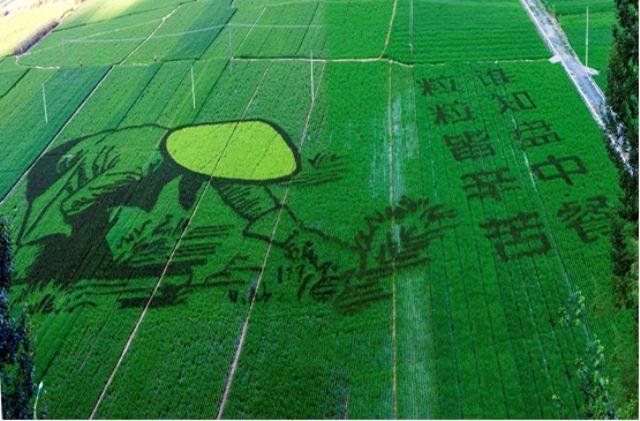 2013年度浙江杭州市生态农业示范工程项目顺利完成验收