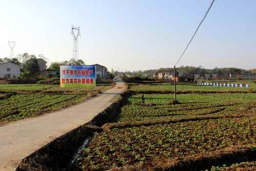 湖南双峰:书记、县长率队督查全县三冬生产