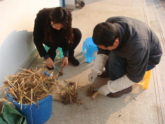 �Ϻ��ֶ�����ֲ���ƿ�չ����Խ����������