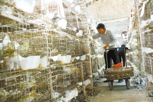 㶫»ũרҵɡһɢɳź