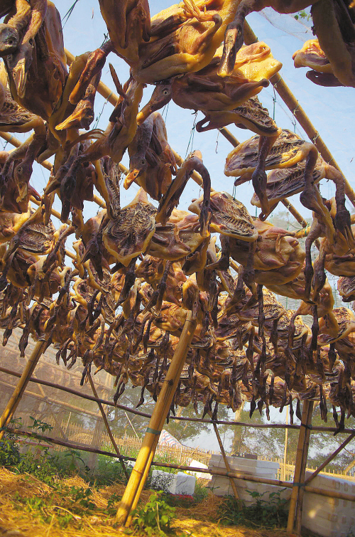 广东恩平腊鸭深受群众喜爱 腊鸭飘香又一冬