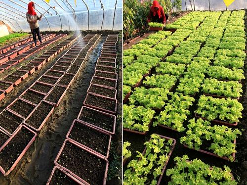 ƴͼƬʾǣɽʡīдֲԱڸˮ128㣬ͼԱڹ۵ˣ128㣬ͼ