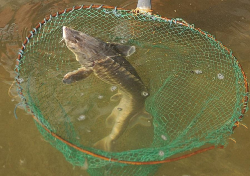 ǻƳһлࣨ126㣩Ŀǰˮʻʺлɳ