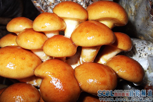 Ĵ˱ڷСġĢΡ ҵһֵ303