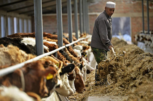 عųһţֳ԰Ĺڸţǲݣ125㣩