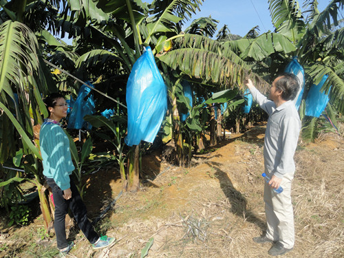 ֲֲվץ㽶溦ķղ鹤