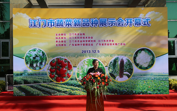 2013年江门市蔬菜新品种展示会在广东江门市农科所隆重举行