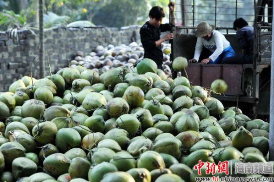 꺣Ҭչ۳ ÿ0.8Ԫ5Ԫ