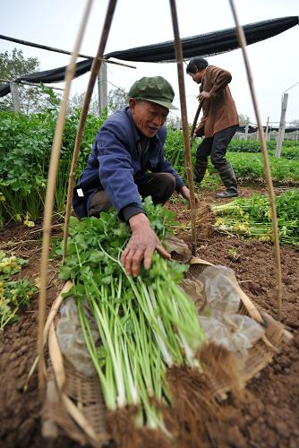 129գڹȫȫ¥ߴ壬һڲժ߲ˡ