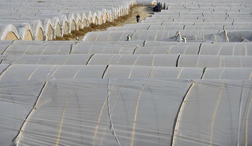 ¼緢չʩũҵ б䶬æ