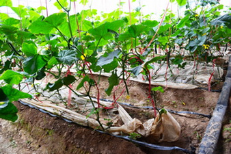 ¤2013ЧũˮƹĿչ˳