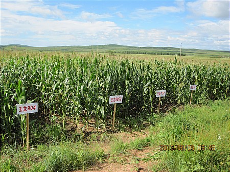 ɹţƼҵչ Ʒչʾ׿гЧ