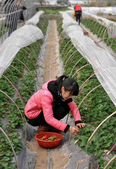 1210գһοڹ鴨شϽִժݮ