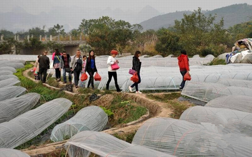 1210գڹ鴨شϽִ壬οŸողժĲݮ߳ݮء