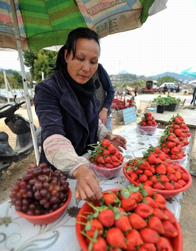 1210գ鴨شϽִڵȴݮĿˡ