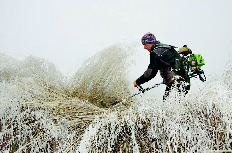 ½ŵڶʦ21ְöոܸܸ 