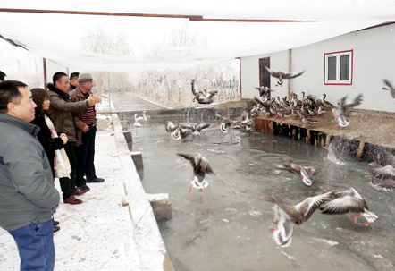 新疆焉耆县:冬闲人不闲 出门取“真经”