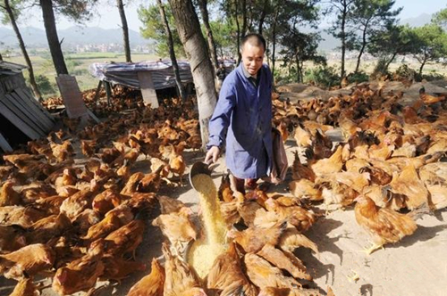 ҵؿٴũܺȫڸ·ļιʳ