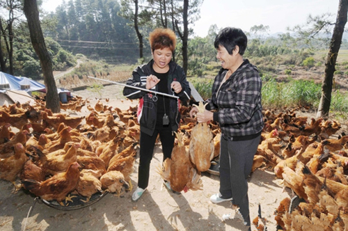 ҵؿٴũ̳ƽڸأ1130㣩