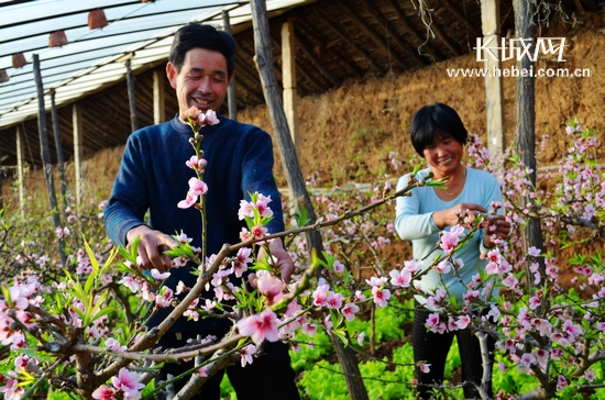 ӱеƽȪأҴ֦ͷ⡰֡