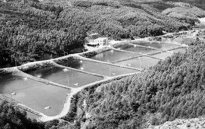 ϰжﳲ壺׻Ĵ塱塱